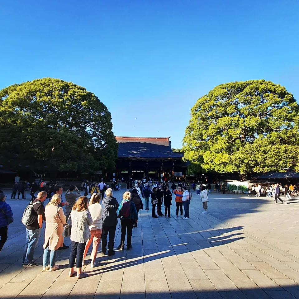 明治神宮、參道與菊花展，原貼文第 2 張照片