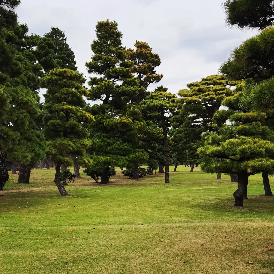 二重橋，原貼文第 3 張照片