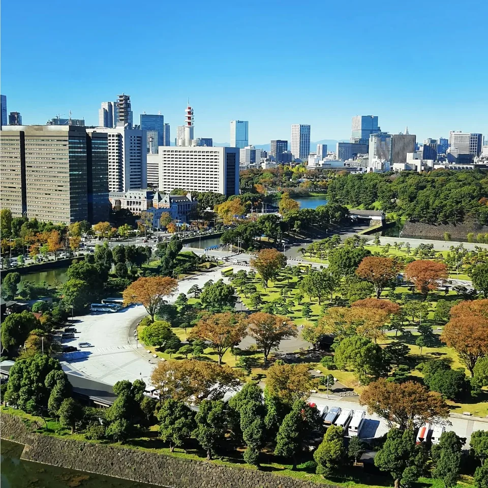 辦公室窗外的皇居景觀，原貼文第 1 張照片