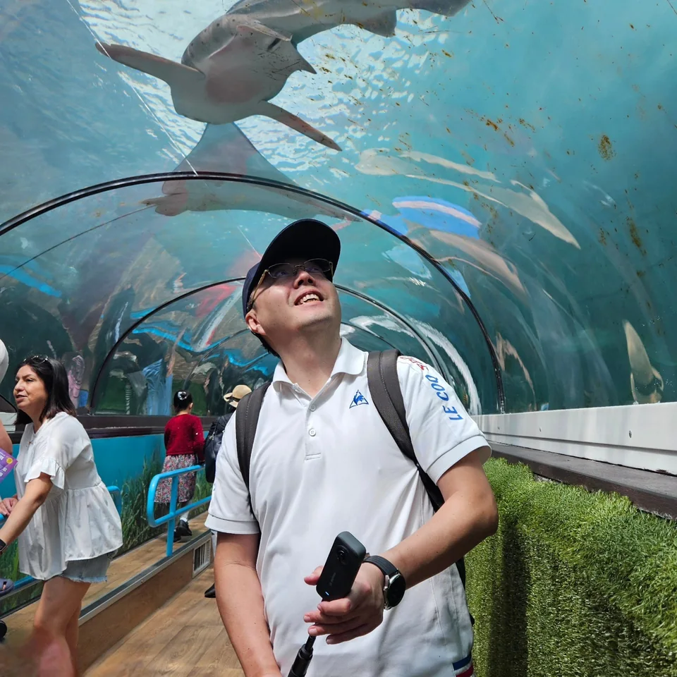 作者站在水底隧道中仰望魚群