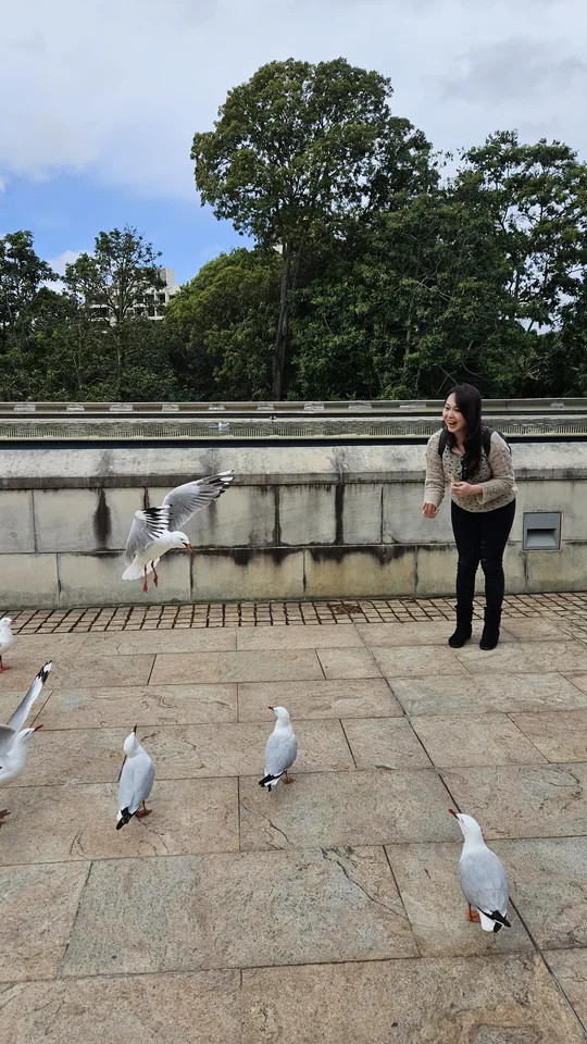 旅伴站在海德公園的海鷗之間
