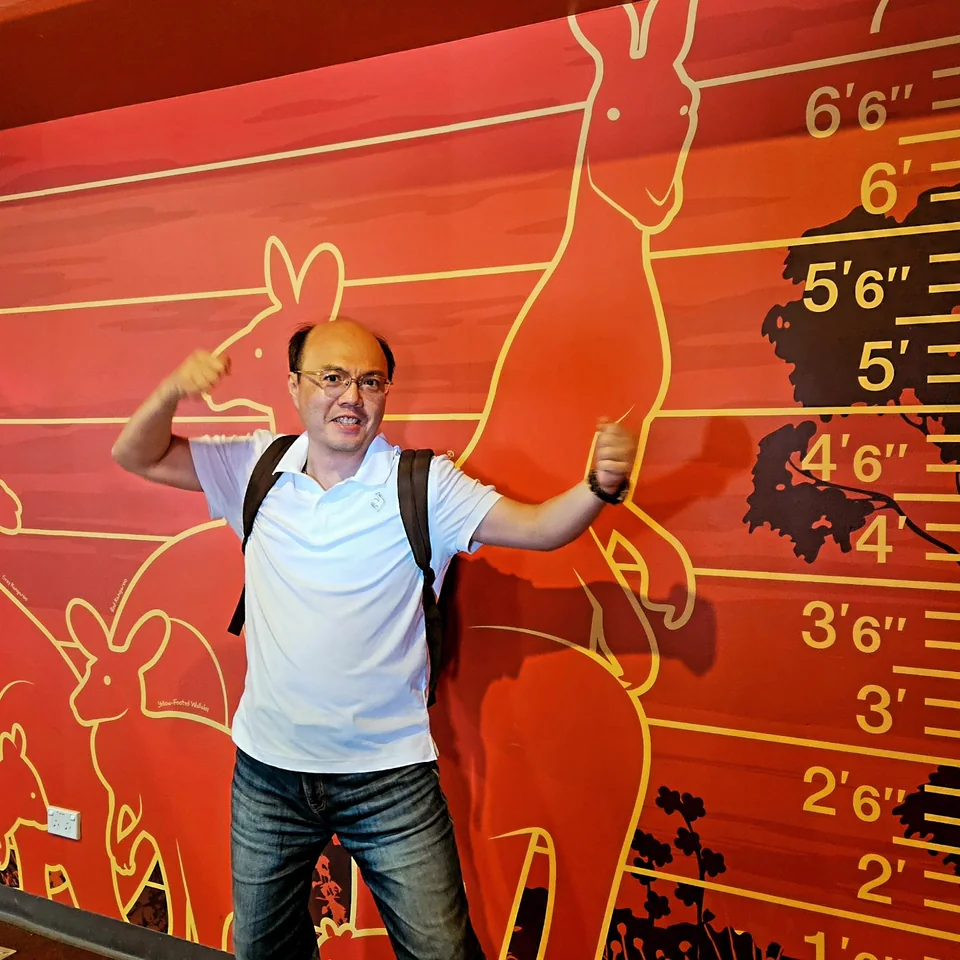 在袋鼠身高對比牆前擺出拳擊姿勢 · Post 9 第 6 張