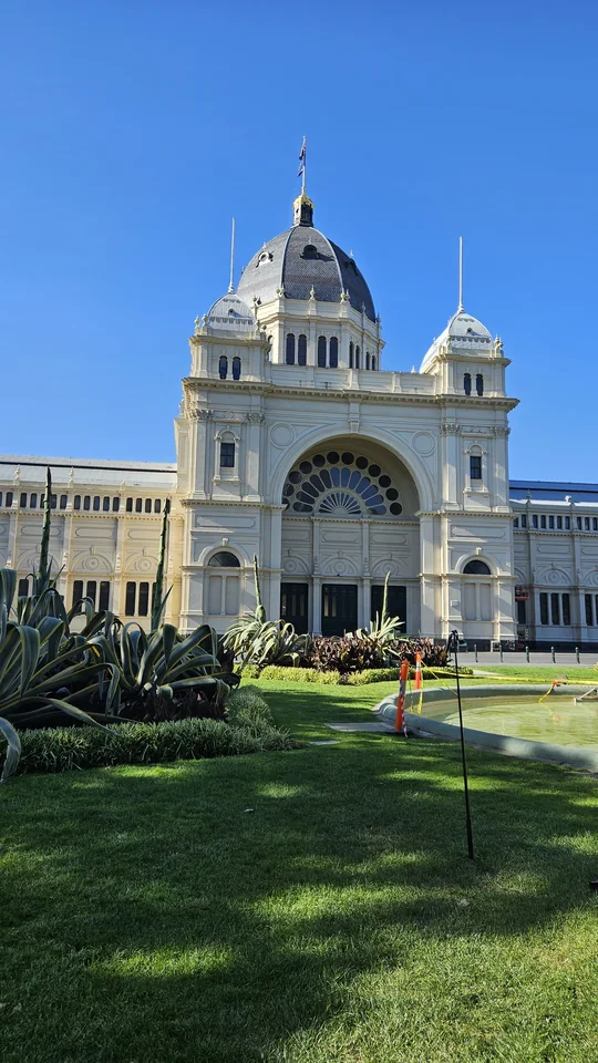 卡爾頓花園古老巨樹構成的林蔭步道