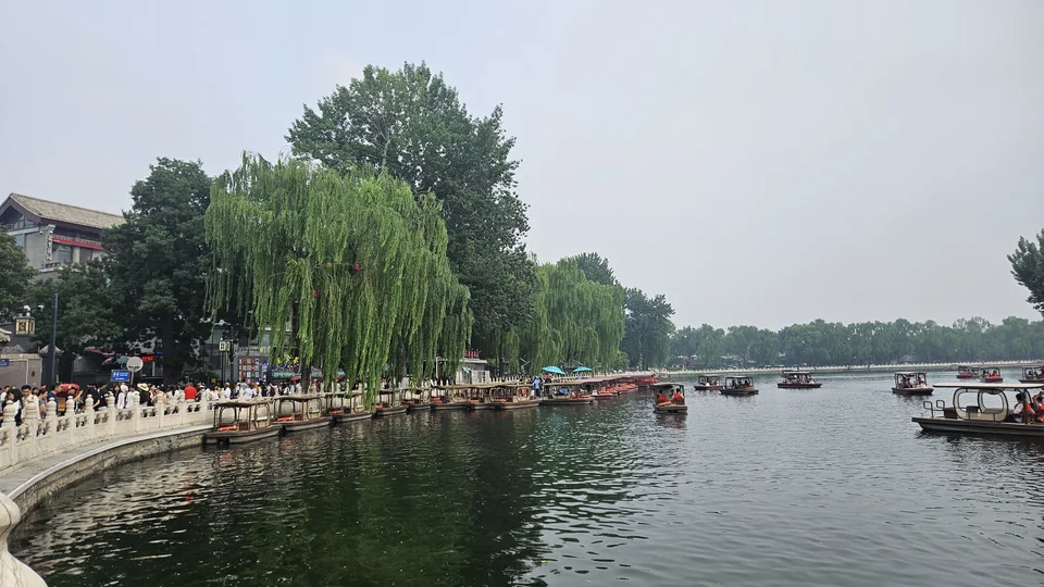 前海東沿湖岸垂柳與遊船